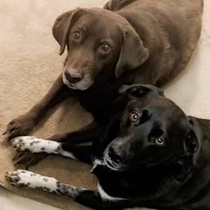 Meet your Posher, Jeff